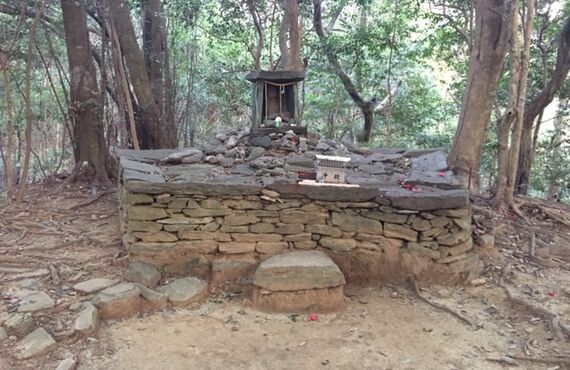 徳島神社祈祷お祓い｜健康院
