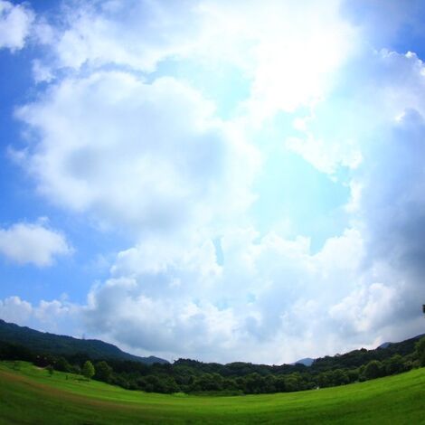 遠隔浄霊致します www.thebrewbarn.com.au