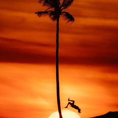 pexels-photo-3884832