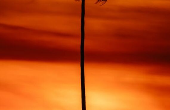 徳島チャクラ活性化｜徳島除霊浄霊｜徳島健康院